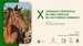 Jornadas Científicas de Cría Caballar de las Fuerzas Armadas